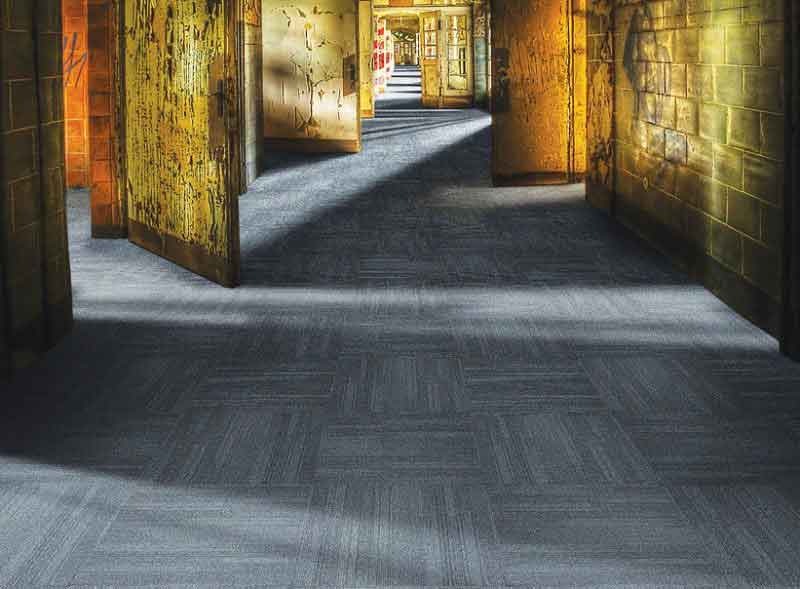 ecc4ac_b71d263a785b48bfb21204bf9ae2ec04~mv2